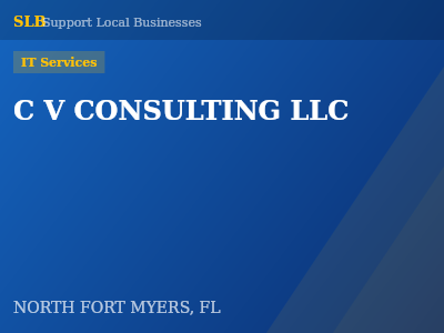C V CONSULTING LLC — IT Services in NORTH FORT MYERS, FL
