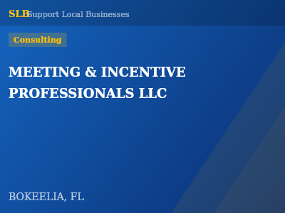 MEETING & INCENTIVE PROFESSIONALS LLC — Consulting in BOKEELIA, FL