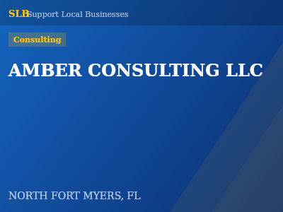 AMBER CONSULTING LLC — Consulting in NORTH FORT MYERS, FL
