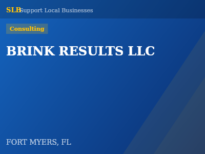 BRINK RESULTS LLC — Consulting in FORT MYERS, FL