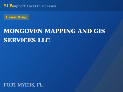 MONGOVEN MAPPING AND GIS SERVICES LLC — Consulting in FORT MYERS, FL