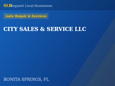 CITY SALES & SERVICE LLC — Auto Repair & Services in BONITA SPRINGS, FL