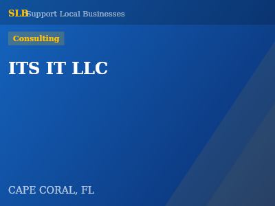 ITS IT LLC — Consulting in CAPE CORAL, FL