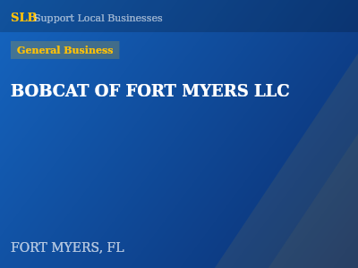 BOBCAT OF FORT MYERS LLC — General Business in FORT MYERS, FL