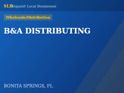 B&A DISTRIBUTING — Wholesale/Distribution in BONITA SPRINGS, FL