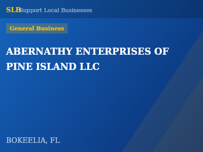 ABERNATHY ENTERPRISES OF PINE ISLAND LLC — General Business in BOKEELIA, FL