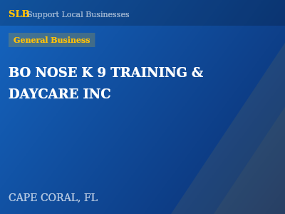 BO NOSE K 9 TRAINING & DAYCARE INC — General Business in CAPE CORAL, FL