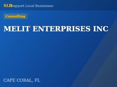 MELIT ENTERPRISES INC — Consulting in CAPE CORAL, FL