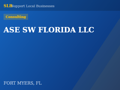 ASE SW FLORIDA LLC — Consulting in FORT MYERS, FL