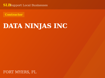 DATA NINJAS INC — Contractor in FORT MYERS, FL