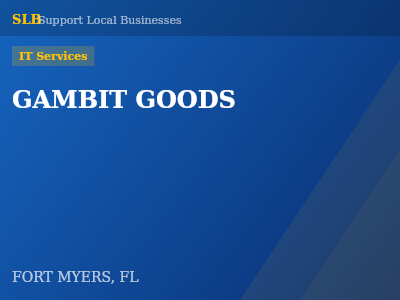 GAMBIT GOODS — IT Services in FORT MYERS, FL