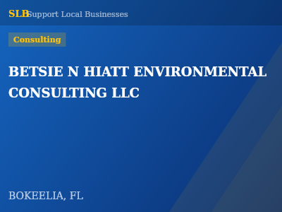 BETSIE N HIATT ENVIRONMENTAL CONSULTING LLC — Consulting in BOKEELIA, FL