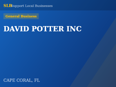 DAVID POTTER INC — General Business in CAPE CORAL, FL