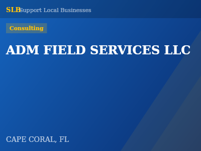 ADM FIELD SERVICES LLC — Consulting in CAPE CORAL, FL