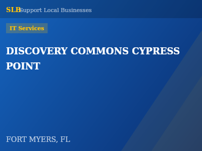 DISCOVERY COMMONS CYPRESS  POINT — IT Services in FORT MYERS, FL