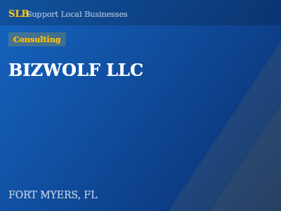 BIZWOLF LLC — Consulting in FORT MYERS, FL