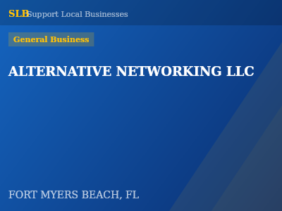 ALTERNATIVE NETWORKING LLC — General Business in FORT MYERS BEACH, FL