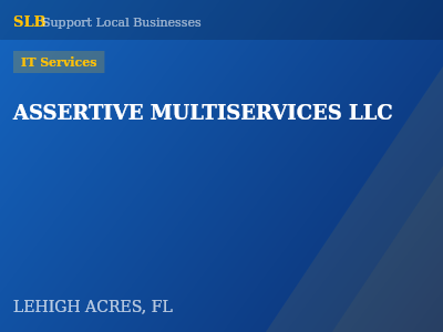 ASSERTIVE MULTISERVICES LLC — IT Services in LEHIGH ACRES, FL