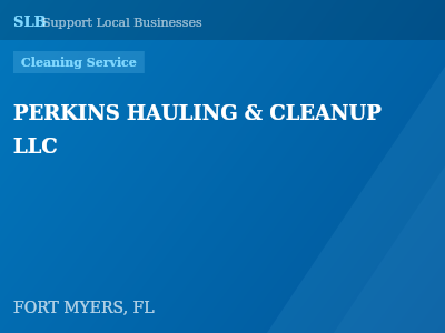 PERKINS HAULING & CLEANUP LLC — Cleaning Service in FORT MYERS, FL
