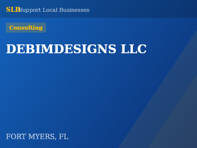DEBIMDESIGNS LLC — Consulting in FORT MYERS, FL