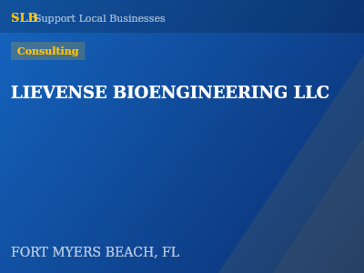 LIEVENSE BIOENGINEERING LLC — Consulting in FORT MYERS BEACH, FL