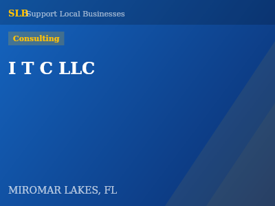 I T C LLC — Consulting in MIROMAR LAKES, FL
