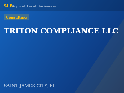 TRITON COMPLIANCE LLC — Consulting in SAINT JAMES CITY, FL