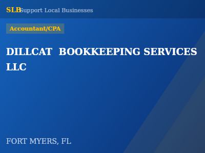 DILLCAT  BOOKKEEPING SERVICES LLC — Accountant/CPA in FORT MYERS, FL