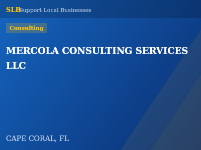 MERCOLA CONSULTING SERVICES LLC — Consulting in CAPE CORAL, FL