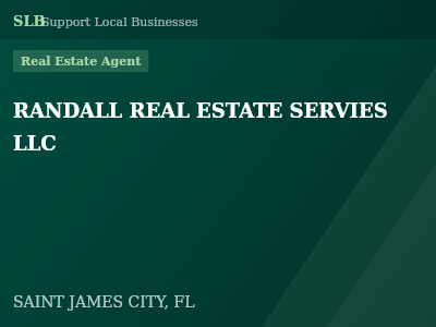RANDALL REAL ESTATE SERVIES LLC — Real Estate Agent in SAINT JAMES CITY, FL