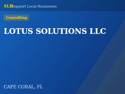 LOTUS SOLUTIONS LLC — Consulting in CAPE CORAL, FL