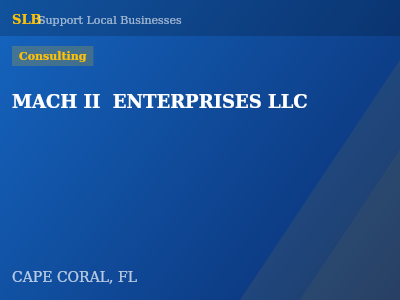 MACH II  ENTERPRISES LLC — Consulting in CAPE CORAL, FL