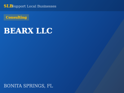 BEARX LLC — Consulting in BONITA SPRINGS, FL