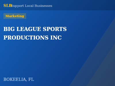 BIG LEAGUE SPORTS PRODUCTIONS INC — Marketing in BOKEELIA, FL