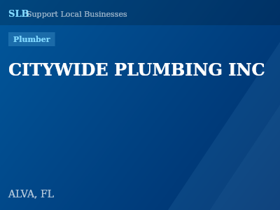 CITYWIDE PLUMBING INC — Plumber in ALVA, FL