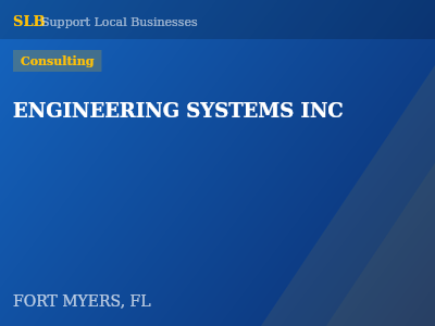 ENGINEERING SYSTEMS INC — Consulting in FORT MYERS, FL