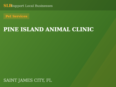 PINE ISLAND ANIMAL CLINIC — Pet Services in SAINT JAMES CITY, FL