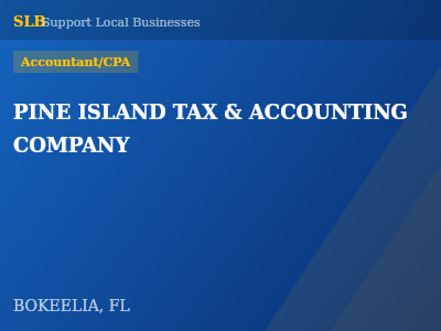 PINE ISLAND TAX & ACCOUNTING COMPANY — Accountant/CPA in BOKEELIA, FL