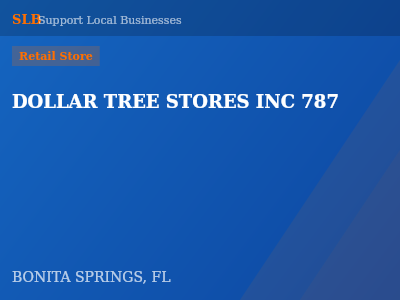 DOLLAR TREE STORES INC 787 — Retail Store in BONITA SPRINGS, FL