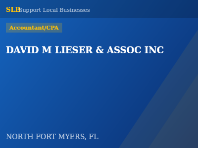 DAVID M LIESER & ASSOC INC — Accountant/CPA in NORTH FORT MYERS, FL