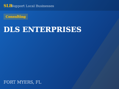 DLS ENTERPRISES — Consulting in FORT MYERS, FL