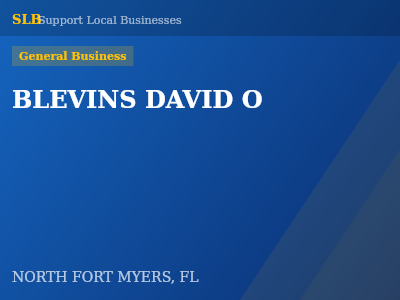 BLEVINS DAVID O — General Business in NORTH FORT MYERS, FL