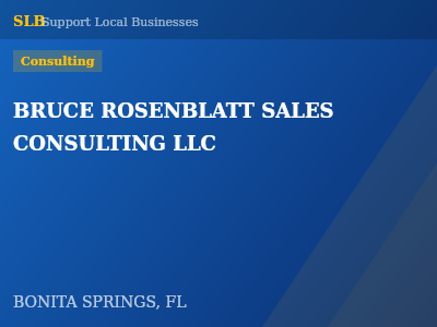 BRUCE ROSENBLATT SALES CONSULTING LLC — Consulting in BONITA SPRINGS, FL