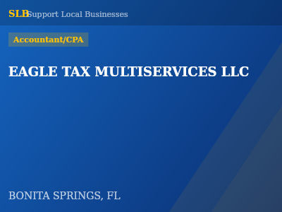EAGLE TAX MULTISERVICES LLC — Accountant/CPA in BONITA SPRINGS, FL