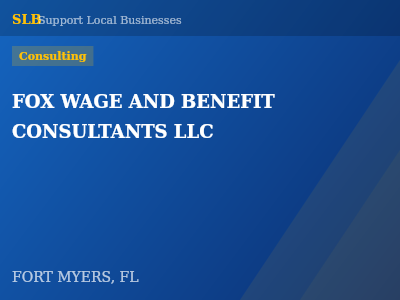 FOX WAGE AND BENEFIT CONSULTANTS LLC — Consulting in FORT MYERS, FL