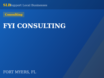 FYI CONSULTING — Consulting in FORT MYERS, FL