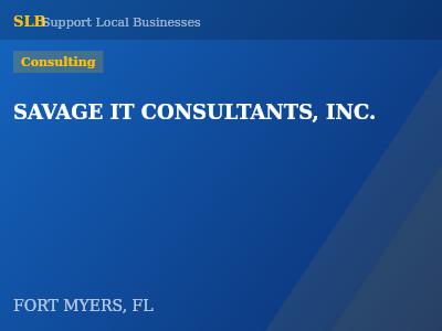 SAVAGE IT CONSULTANTS, INC. — Consulting in FORT MYERS, FL
