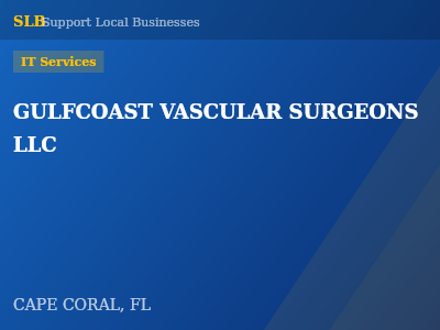 GULFCOAST VASCULAR SURGEONS LLC — IT Services in CAPE CORAL, FL