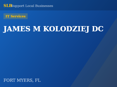 JAMES M KOLODZIEJ DC — IT Services in FORT MYERS, FL