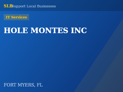 HOLE MONTES INC — IT Services in FORT MYERS, FL